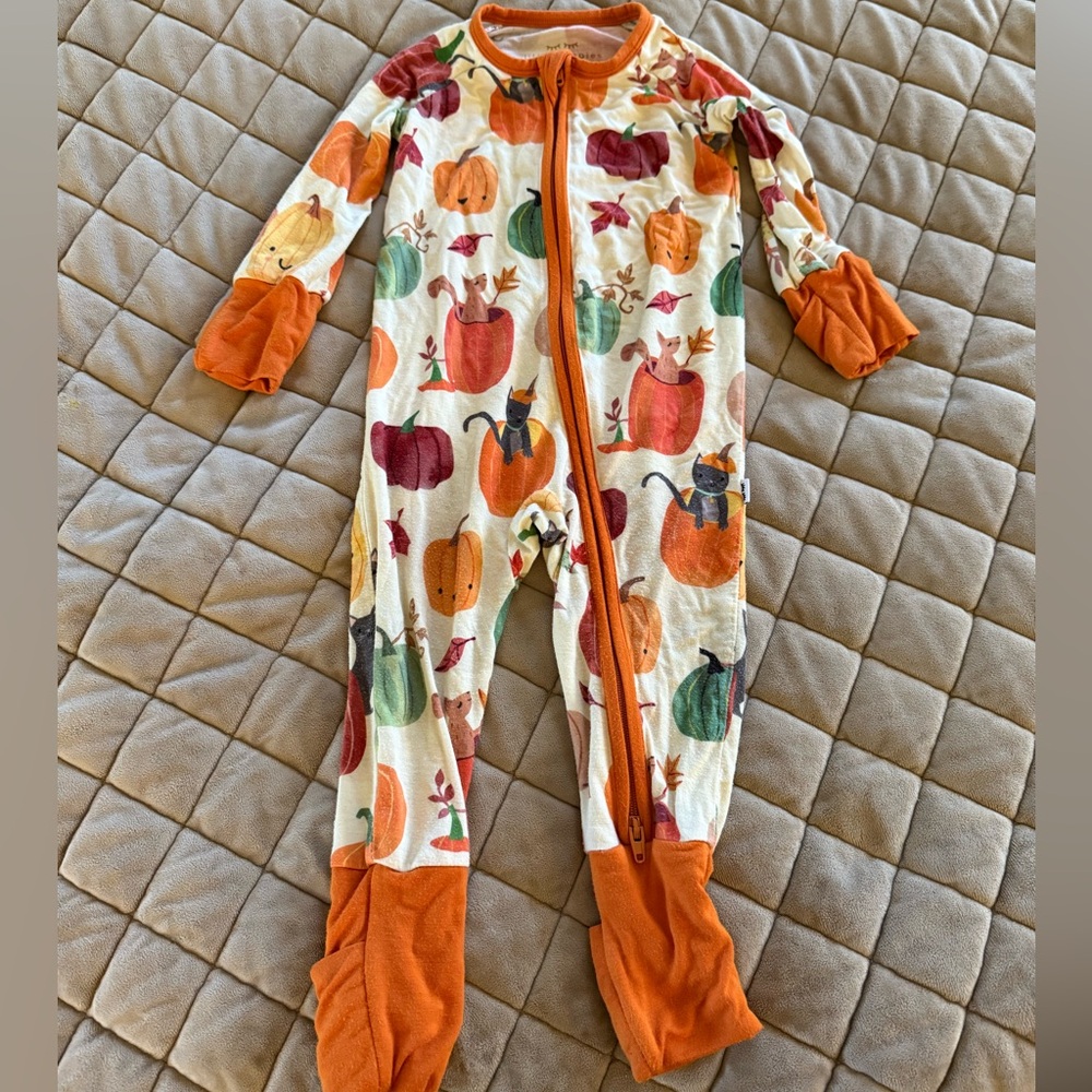 Little Sleepies Harvest Pumpkin and Friends Zippy Footie